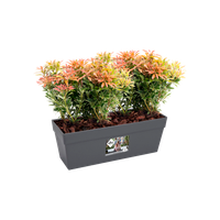 loft urban trough 50cm anthracite